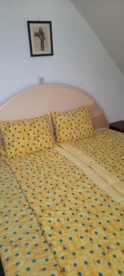 Privatni Smestaj Nanica Mataruska Banja Ngoại thất bức ảnh